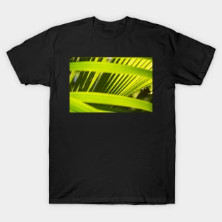 Coconut Palm T-Shirt